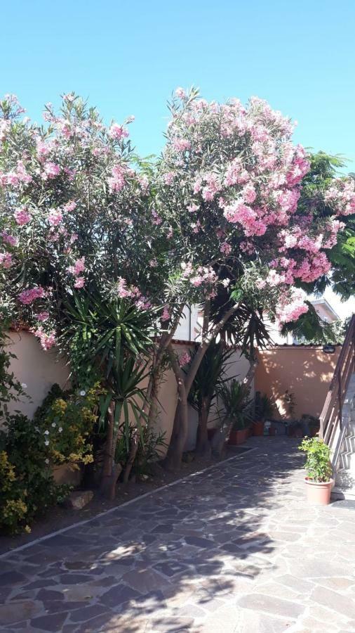 B&B Fiumicino Airport Resort Экстерьер фото