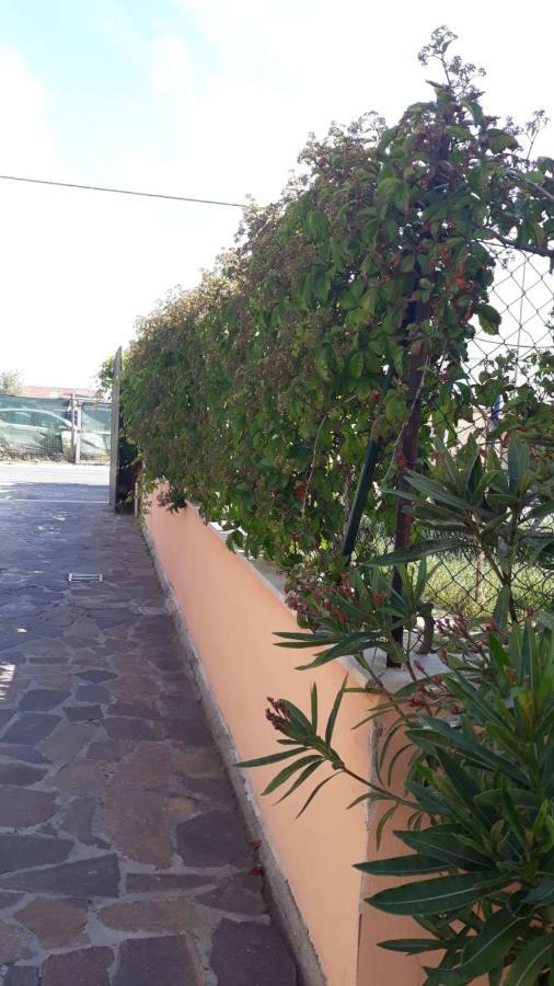 B&B Fiumicino Airport Resort Экстерьер фото